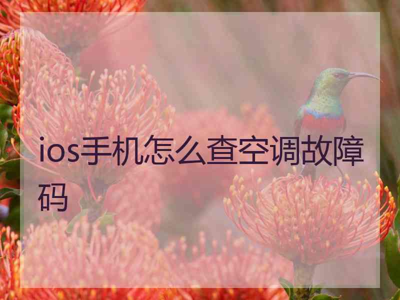 ios手机怎么查空调故障码