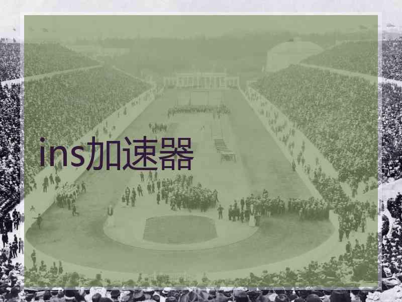 ins加速器
