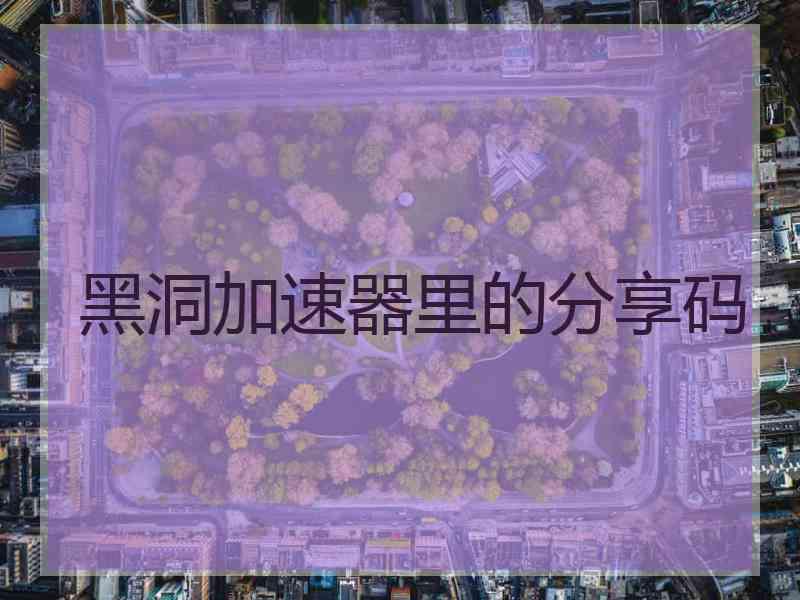 黑洞加速器里的分享码
