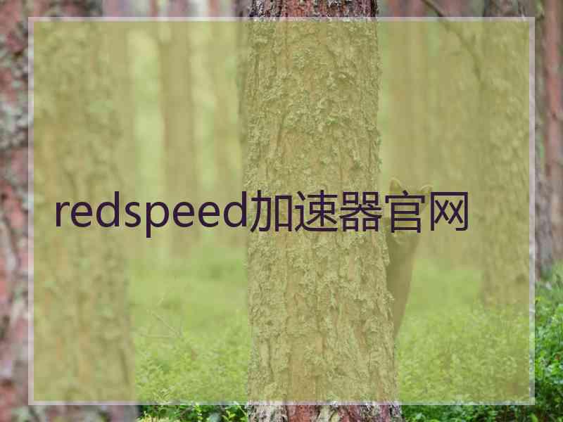 redspeed加速器官网