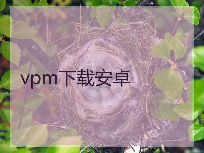 vpm下载安卓