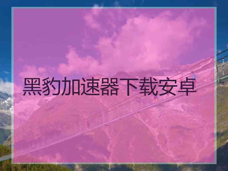 黑豹加速器下载安卓