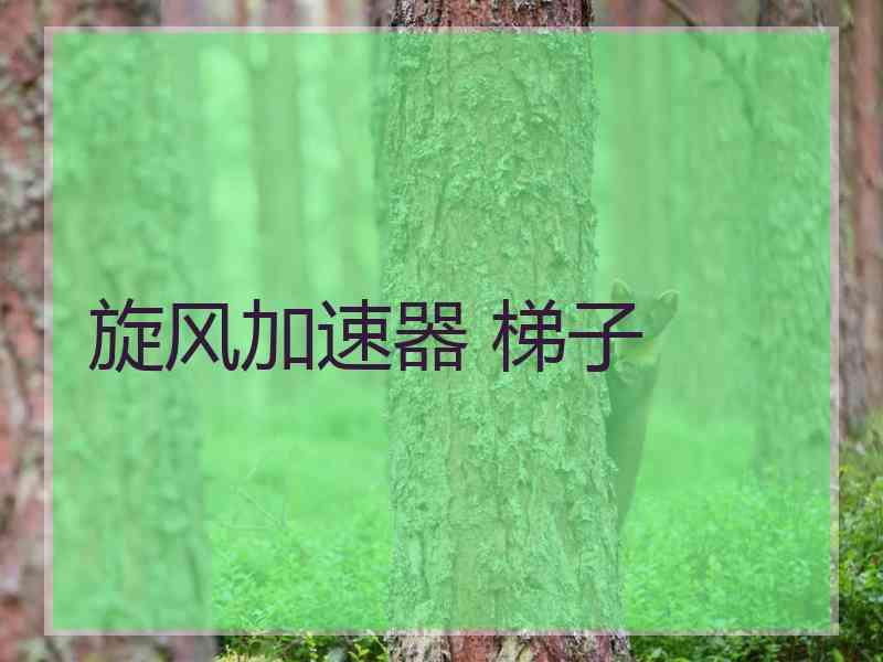 旋风加速器 梯子