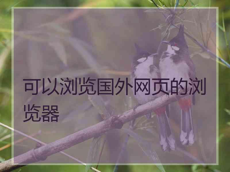 可以浏览国外网页的浏览器