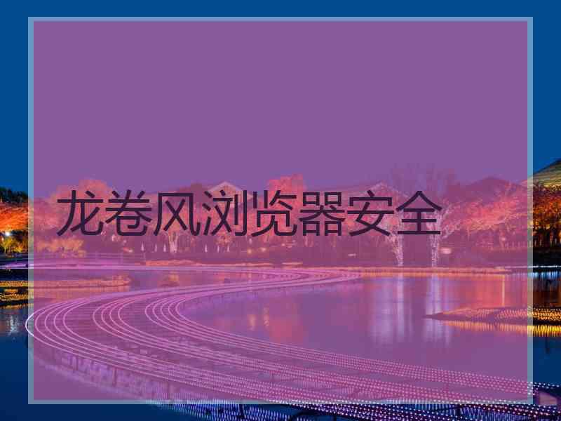 龙卷风浏览器安全