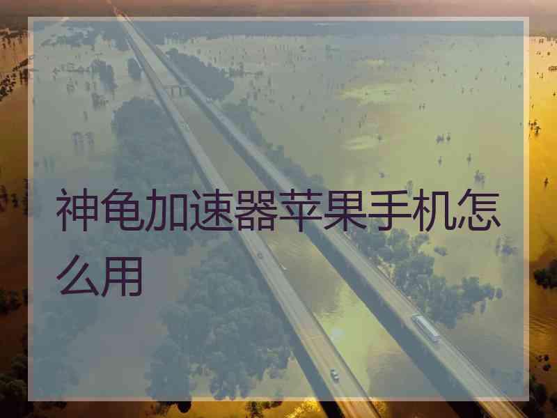神龟加速器苹果手机怎么用