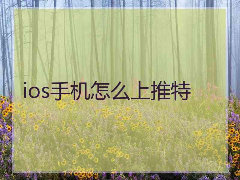 ios手机怎么上推特