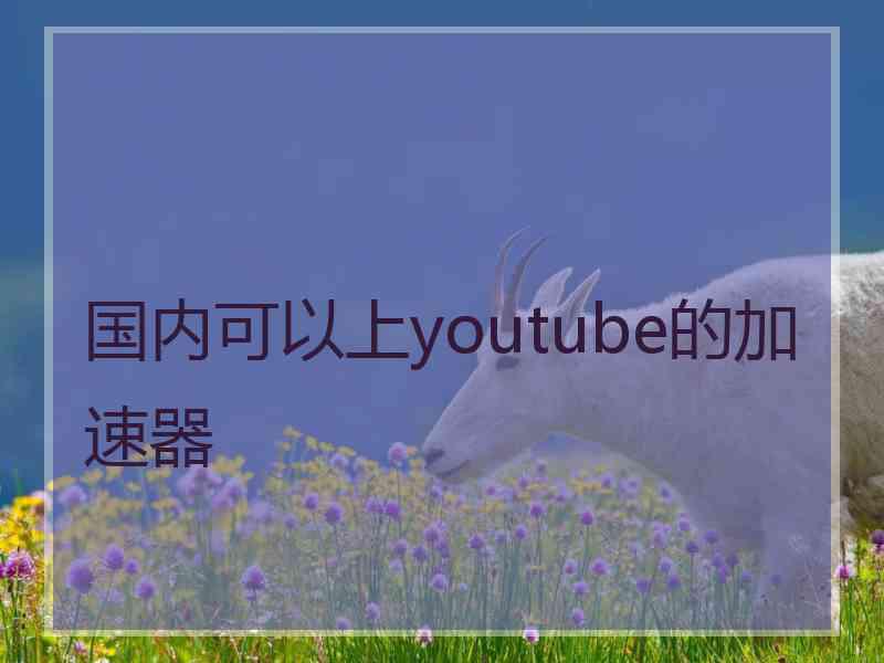 国内可以上youtube的加速器