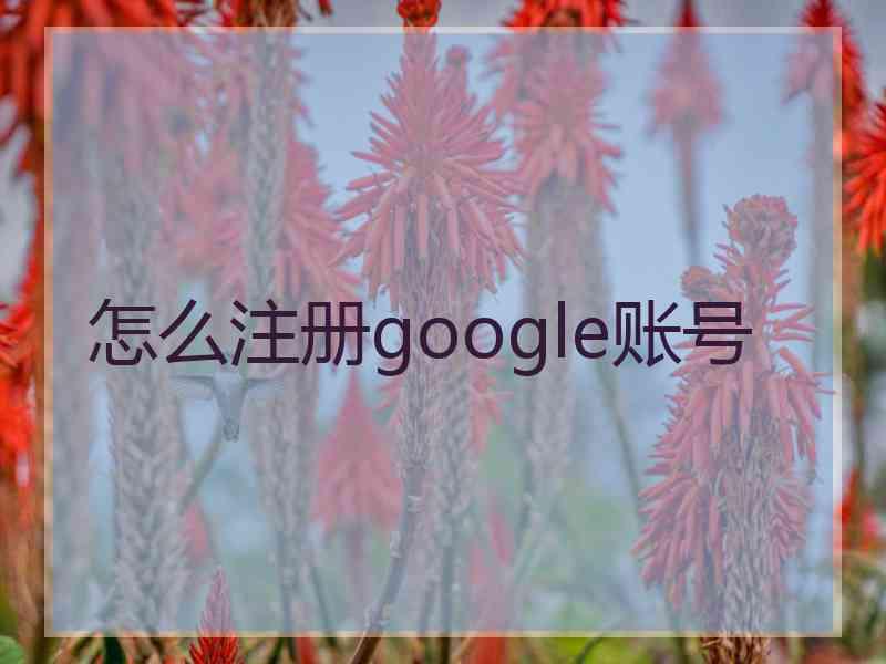 怎么注册google账号