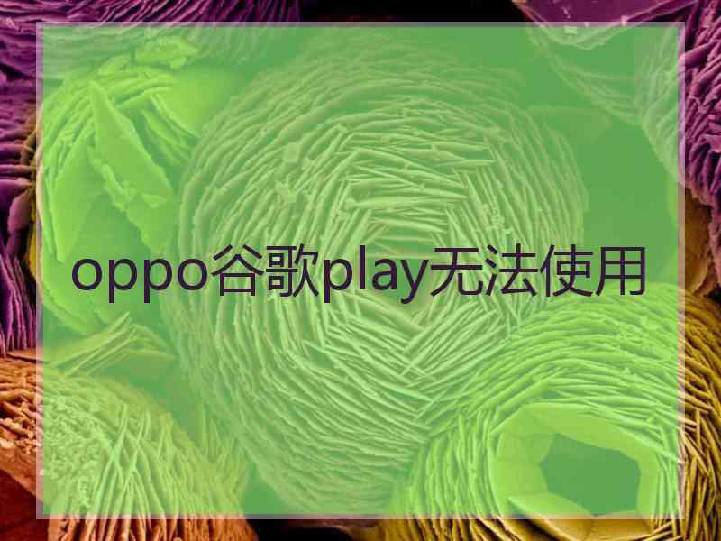 oppo谷歌play无法使用