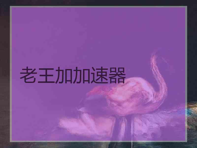 老王加加速器