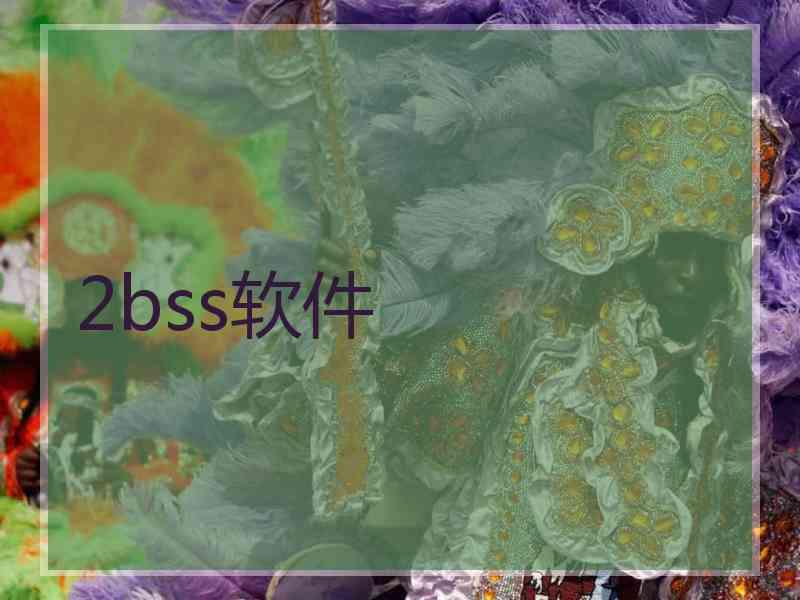 2bss软件