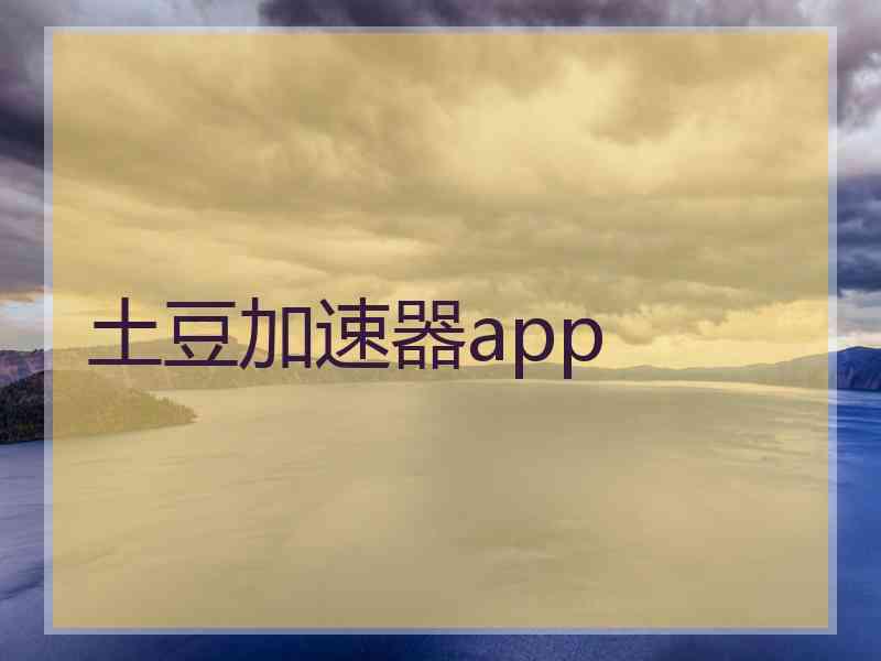 土豆加速器app
