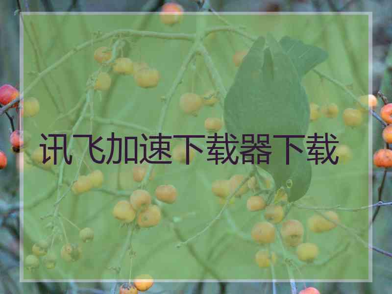 讯飞加速下载器下载