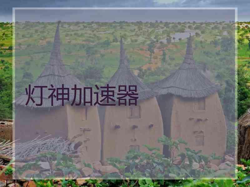 灯神加速器