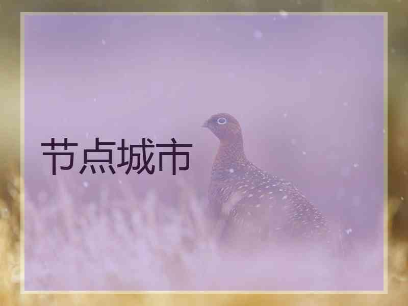 节点城市