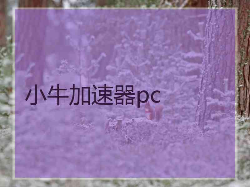 小牛加速器pc