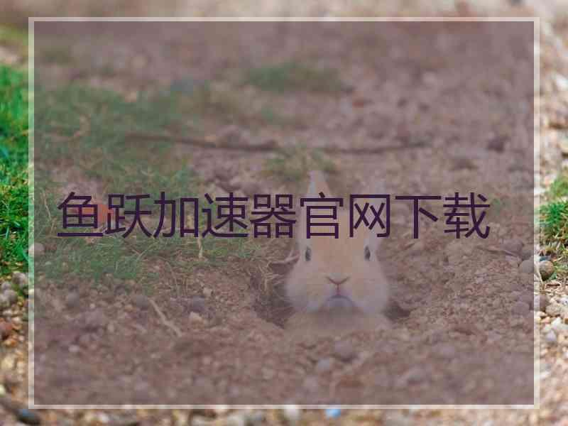 鱼跃加速器官网下载