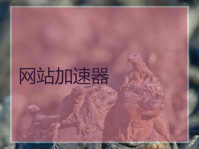网站加速器