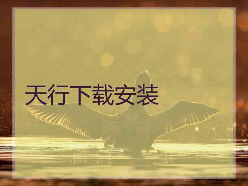 天行下载安装