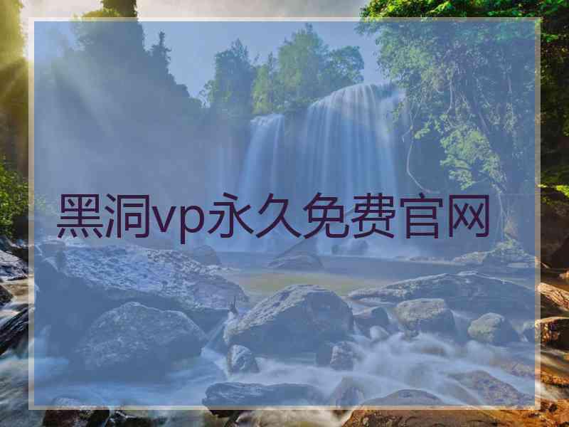 黑洞vp永久免费官网