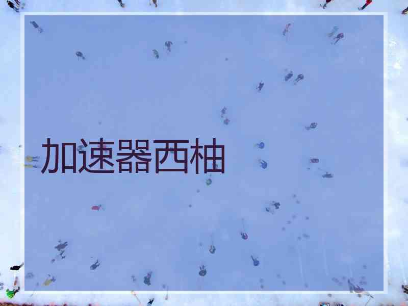 加速器西柚