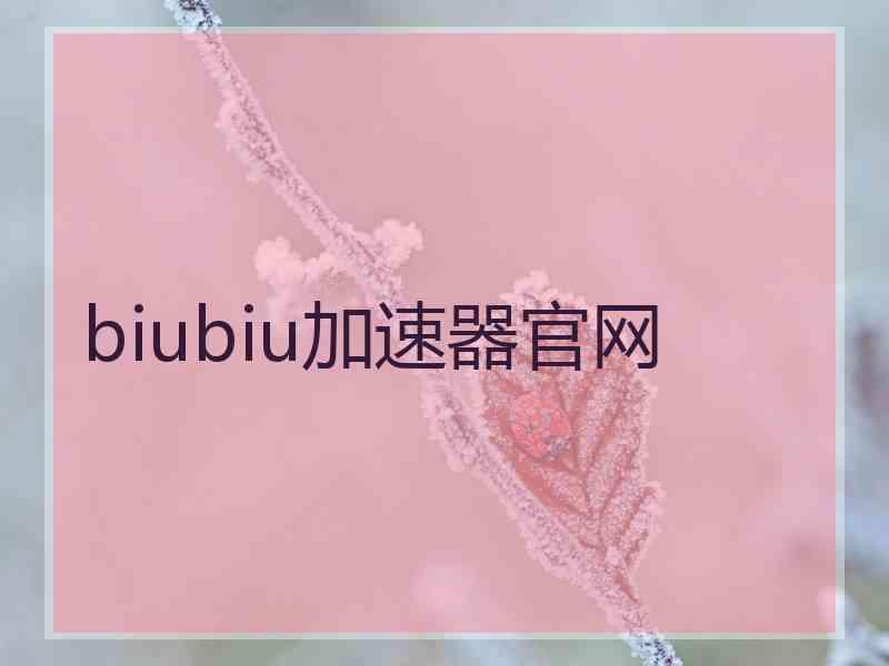 biubiu加速器官网