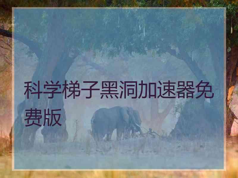 科学梯子黑洞加速器免费版