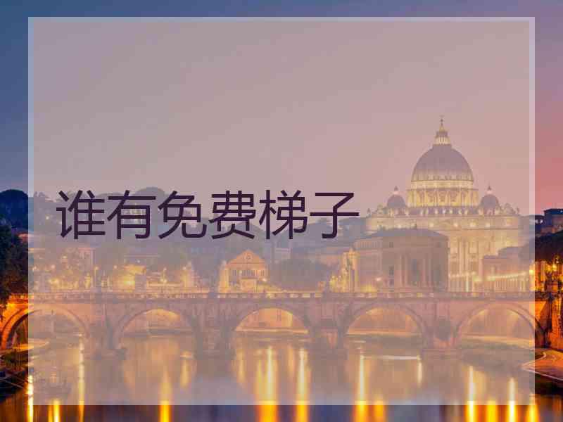 谁有免费梯子