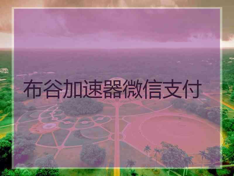 布谷加速器微信支付