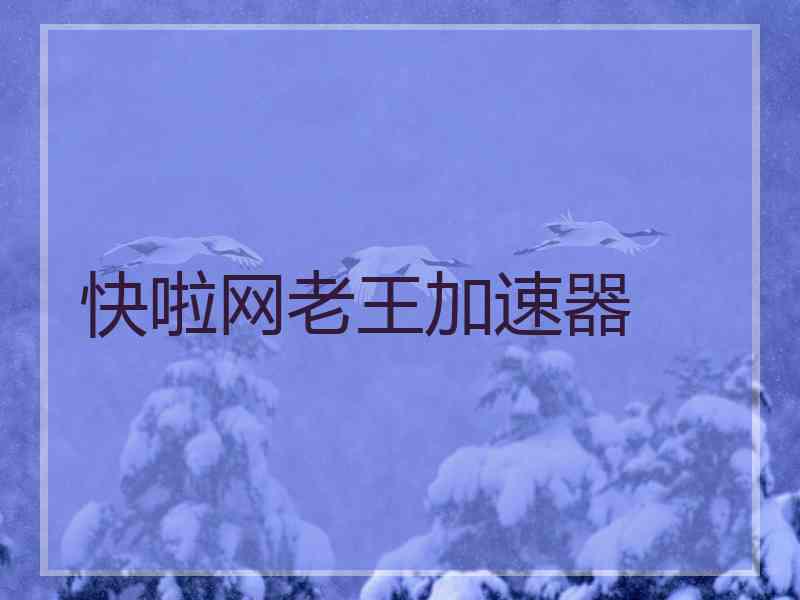 快啦网老王加速器