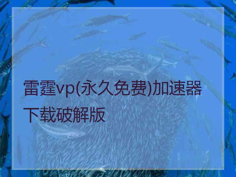 雷霆vp(永久免费)加速器下载破解版