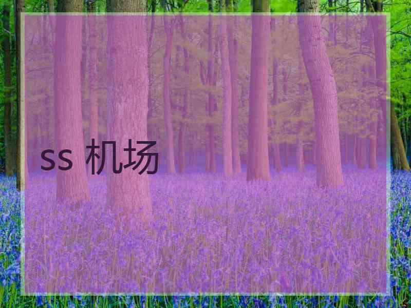 ss 机场