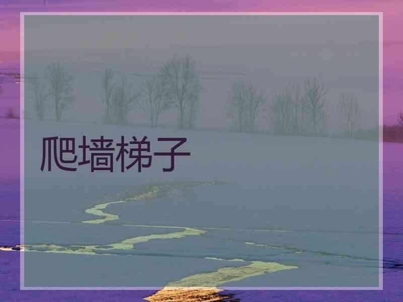 爬墙梯子