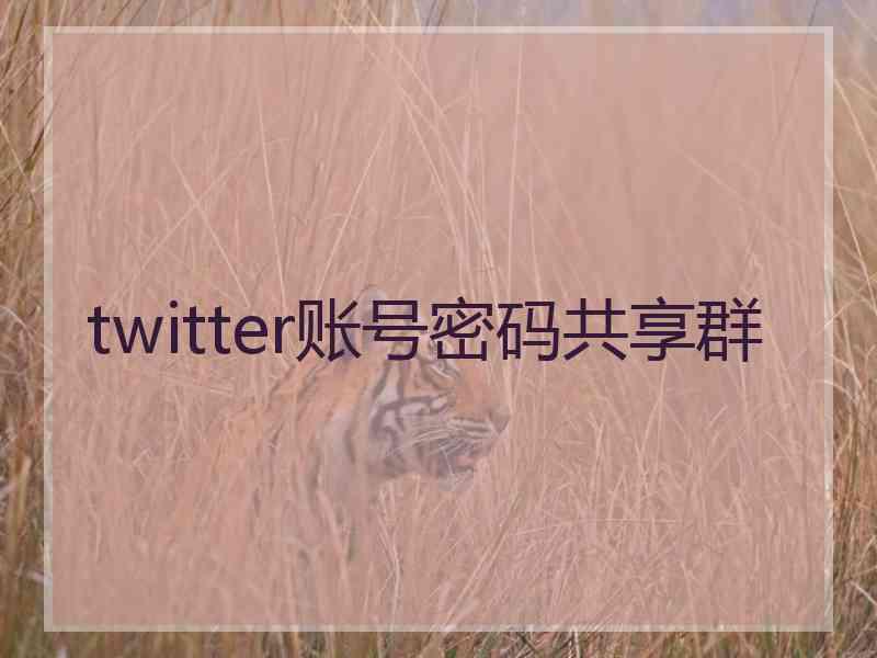 twitter账号密码共享群