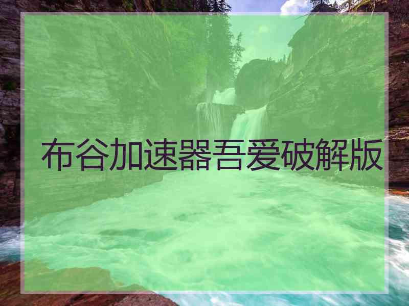布谷加速器吾爱破解版