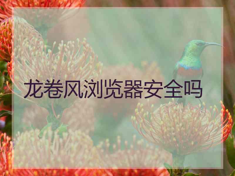 龙卷风浏览器安全吗