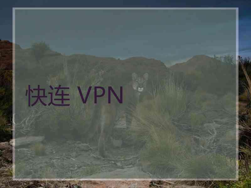 快连 VPN