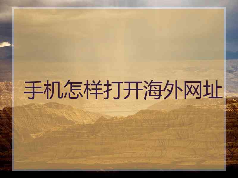 手机怎样打开海外网址