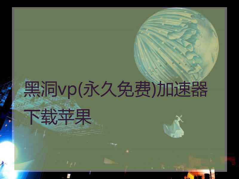 黑洞vp(永久免费)加速器下载苹果