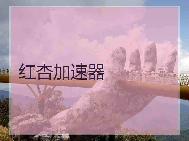 红杏加速器