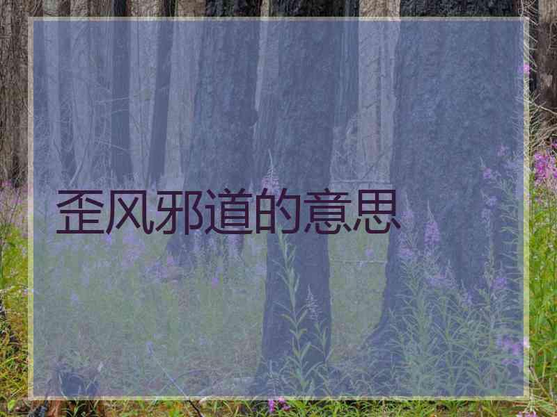 歪风邪道的意思
