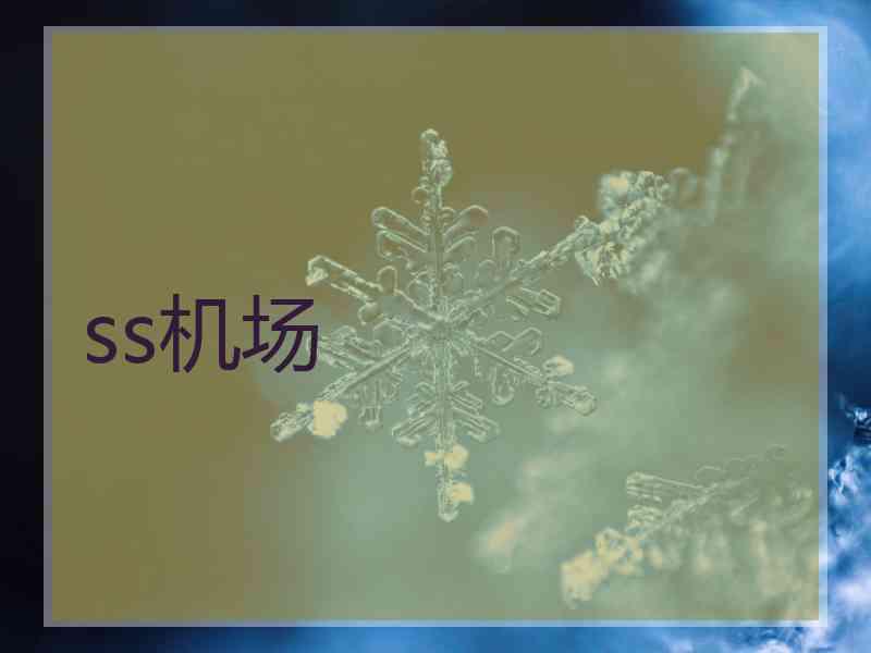 ss机场