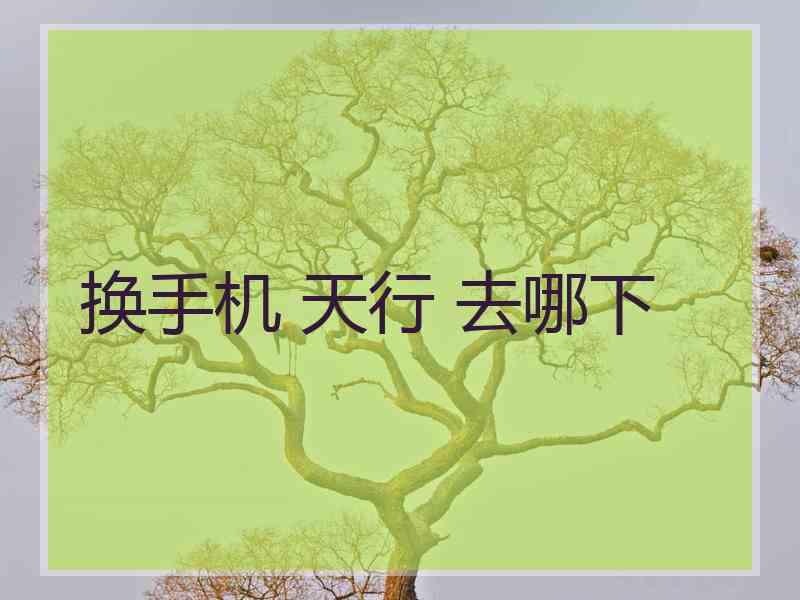 换手机 天行 去哪下