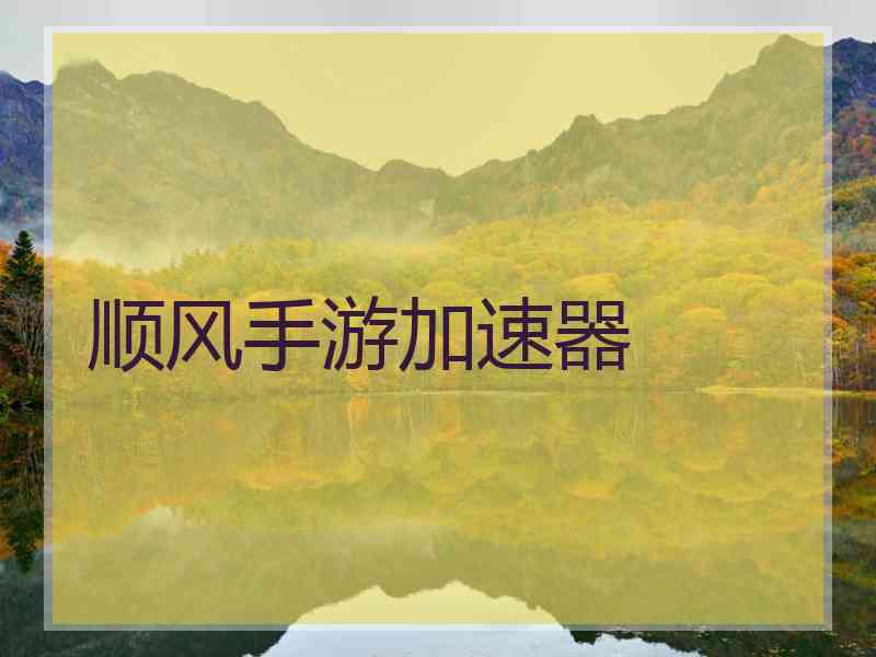 顺风手游加速器
