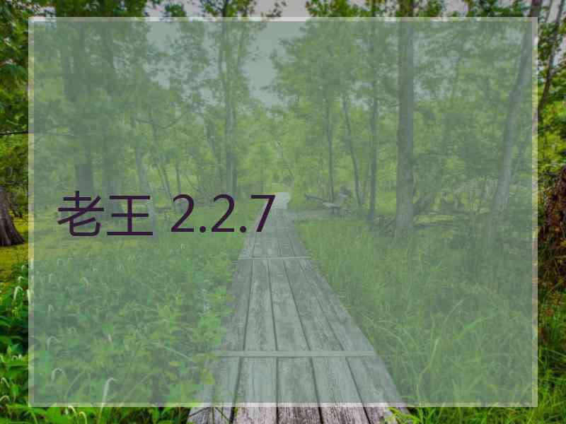 老王 2.2.7