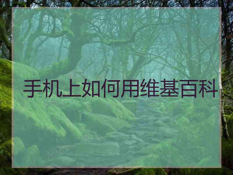 手机上如何用维基百科