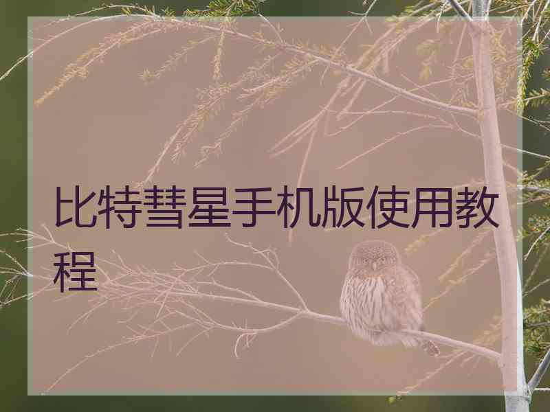 比特彗星手机版使用教程