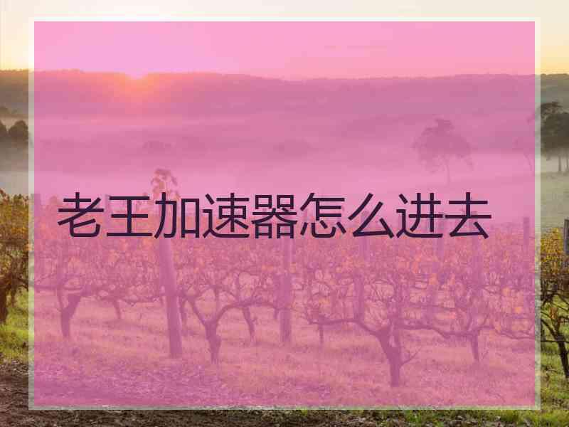 老王加速器怎么进去