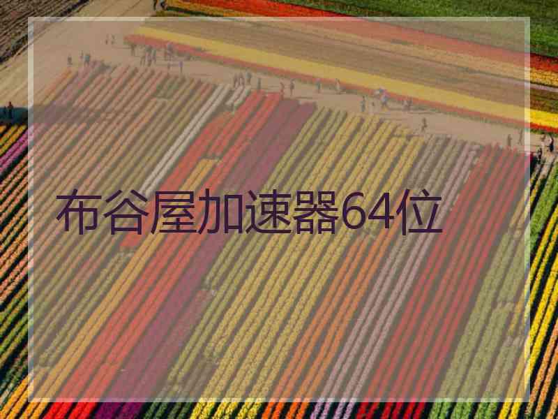 布谷屋加速器64位